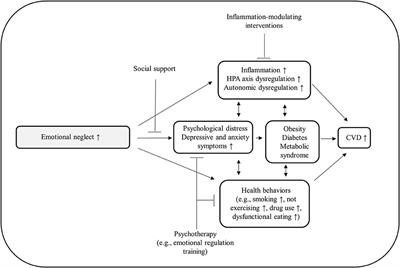 Childhood Emotional Neglect and Cardiovascular Disease: A Narrative Review